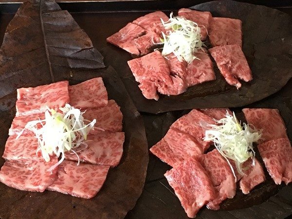 accidental-locavore-hida-beef-slices