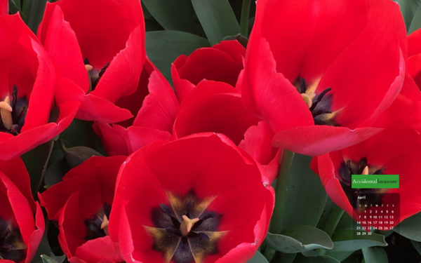 Accidental Locavore April 2019 Calendar