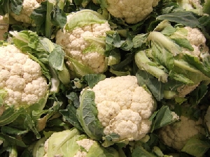 Accidental Locavore Cauliflower