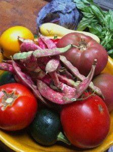 Accidental Locavore Pimentos and Cranberry Beans
