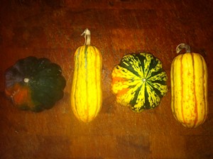 Accidental Locavore Winter Squash for Soup