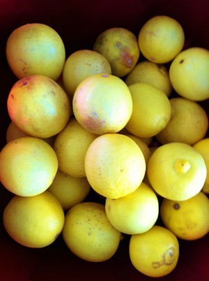 Accidental Locavore Mexican Limones