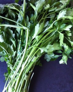 Accidental Locavore Flat Leaf Parsley