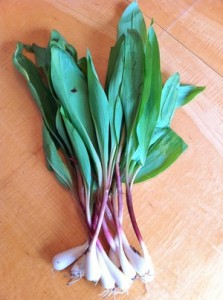 Accidental Locavore Ramps