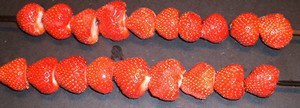 Accidental Locavore Strawberries Skewered
