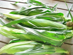 Accidental Locavore Fresh Corn