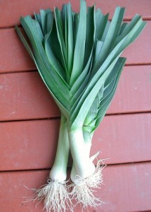 Accidental Locavore Leeks