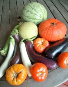 Accdiental Locavore Farm Box September