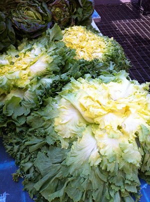 Accidental Locavore French Lettuce