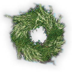 Accidental Locavore Stokes Wreath