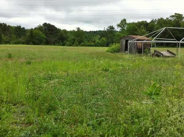 Accidental Locavore Deserted Farm