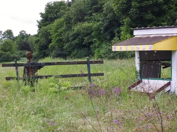 Accidental Locavore Farmstand