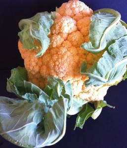 Accidental Locavore Orange Cauliflower