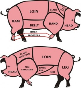 Accidental Locavore Pig Diagram