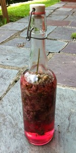 Accidental Locavore Chive Blossom Vinegar