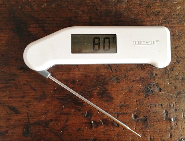 Accidental Locavore Thermometer for a Roast