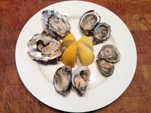 Accidental Locavore Oysters on the Half Shell