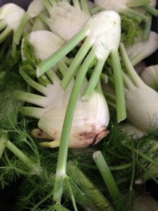 Accidental Locavore Fennel