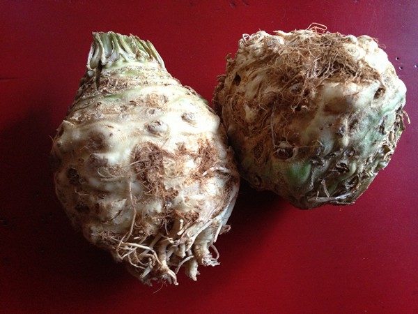 Accidental Locavore Celery Root Remoulade