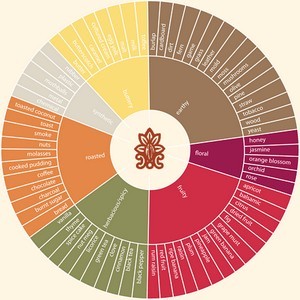 Accidental Locavore Chocolate Tasting Wheel