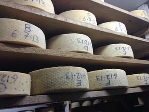 Accidental Locavore Cheese Aging