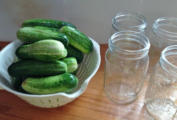 Accidental Locavore Pickling Cukes