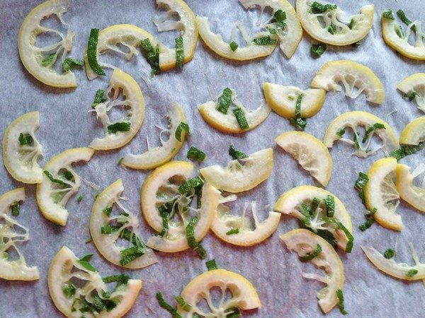 Accidental Locavore Sliced Lemons for Tomatoes