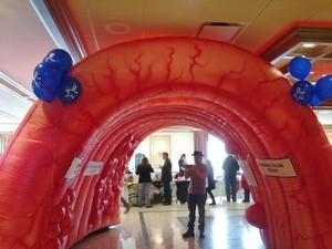 Accidental Locavore Inflatable Colon