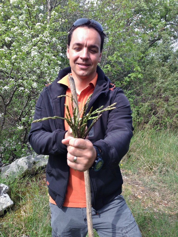 Accidental Locavore Goran With Asparagus