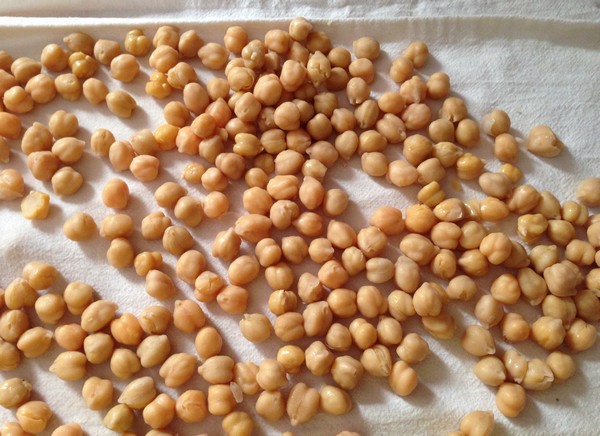 Accidental Locavore Drying Chickpeas