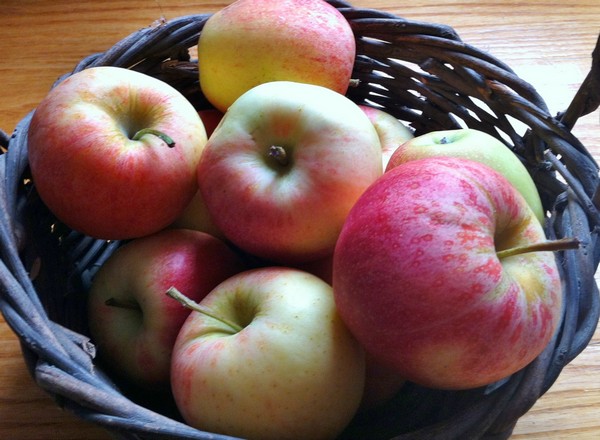 Accidental Locavore Basket of Apples