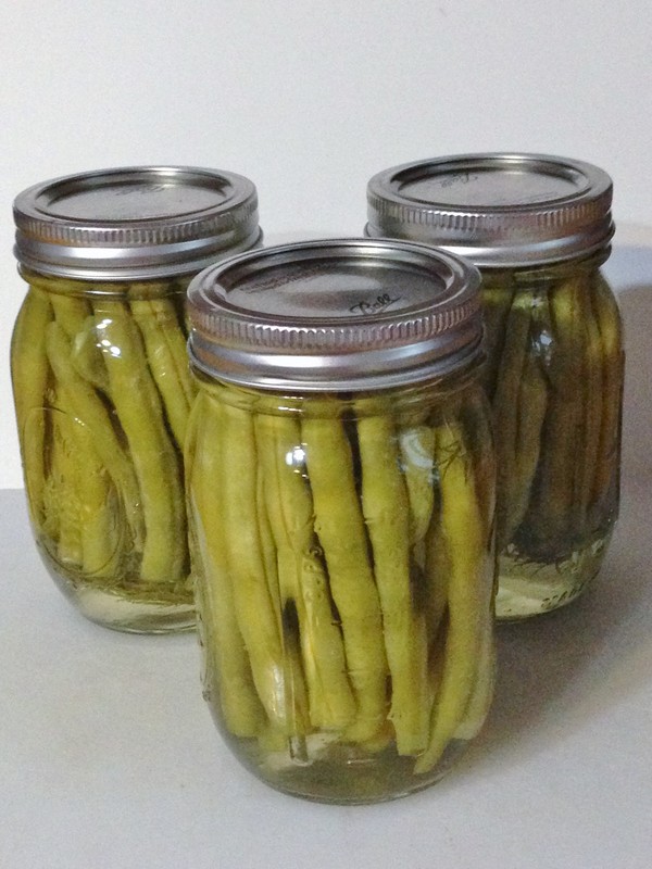 Accidental Locavore Jars of Dilly Beans