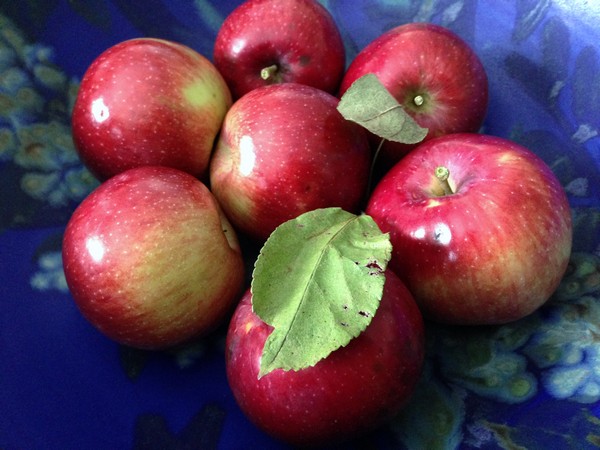 Accidental Locavore Red Hook Apples