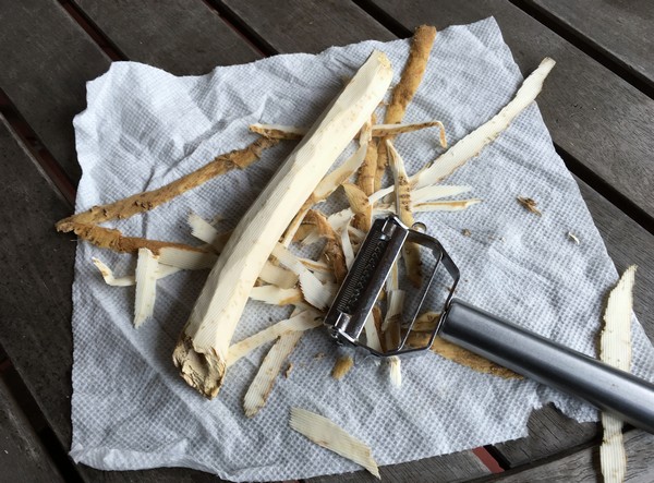 Accidental Locavore Peeling Horseradish