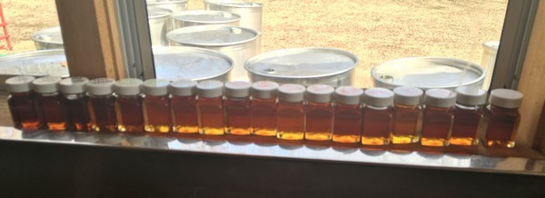 Accidental Locavore Maple Syrup Grades