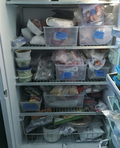 Accidental Locavore Green Goals Freezer