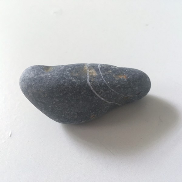 Accidental Locavore My Nice Pebble