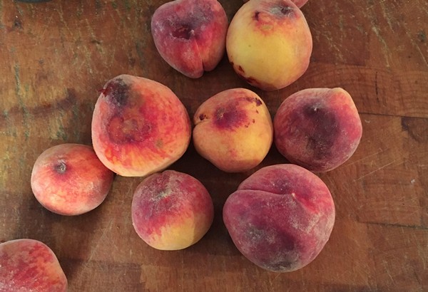 Accidental Locavore Peaches for Peelers