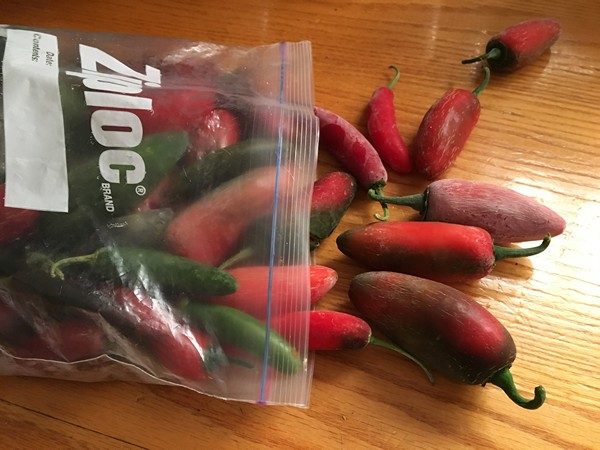 accidental-locavore-bag-o-chiles