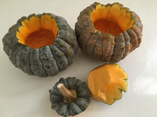 accidental-locavore-pumpkin-for-stuffing
