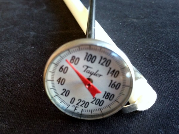 Accidental Locavore Thanksgiving Instant Read Thermometer