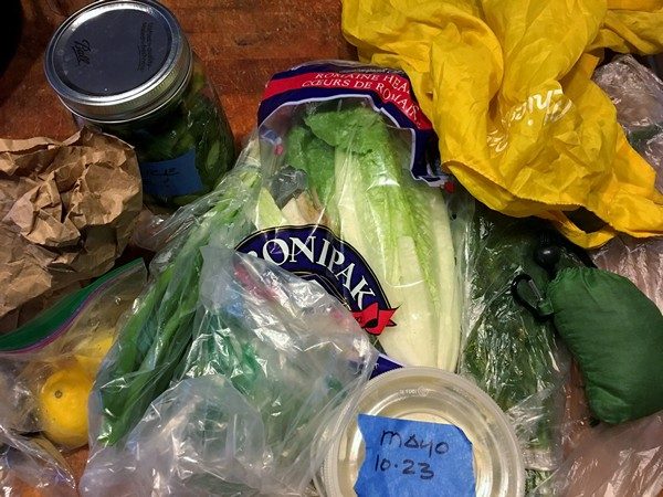 Accidental Locavore Green Goals Food Waste