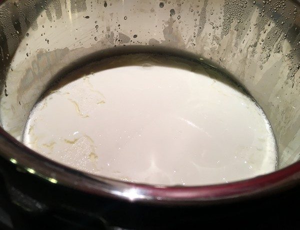 Accidental Locavore Yogurt in Insta-Pot