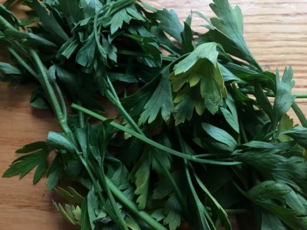 Accidental Locavore Parsley for Tabouli