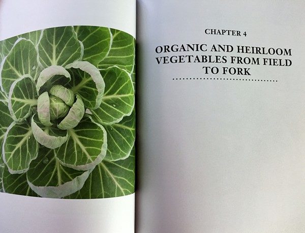 Accidental Locavore Page from Non-GMO Cookbook