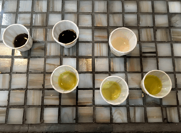 Olive oil in tasting cups